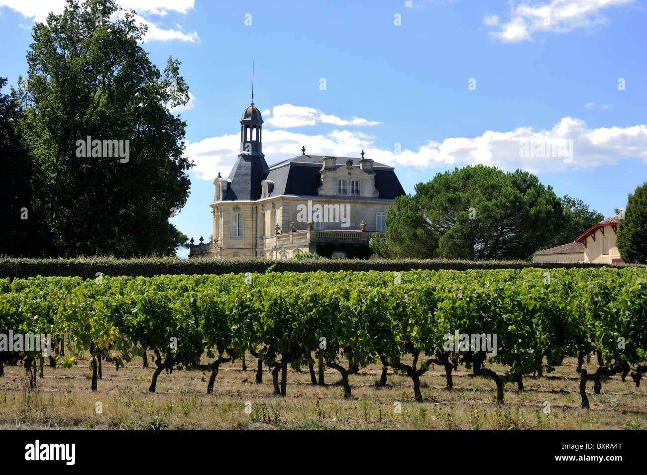France, Bordeaux, vignobles du Médoc, Château Fonreaud Banque D'Images