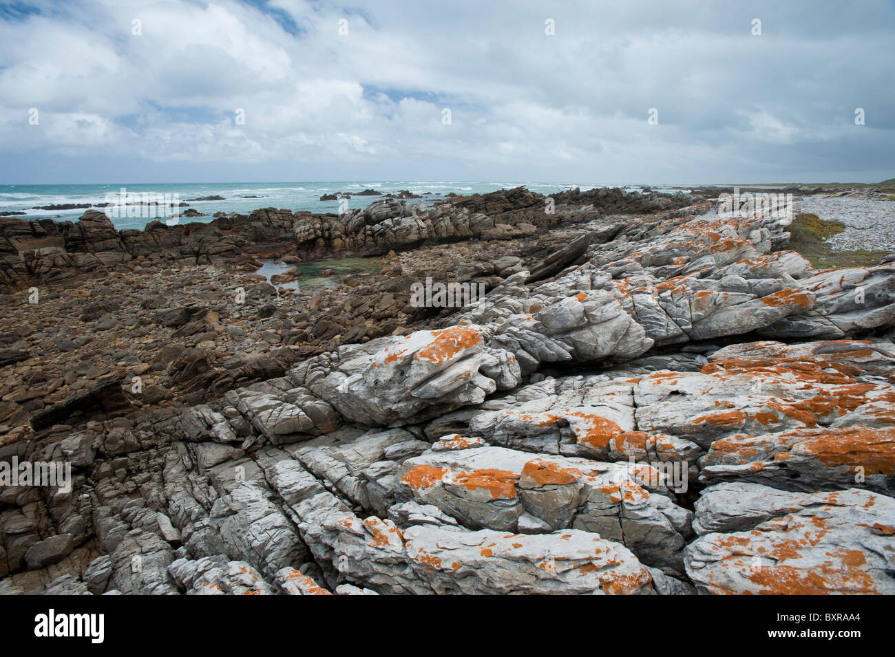 Le littoral accidenté et sombre au Cap des aiguilles le point le plus au sud de l'Afrique. L'Afrique du Sud, d'Overberg Banque D'Images