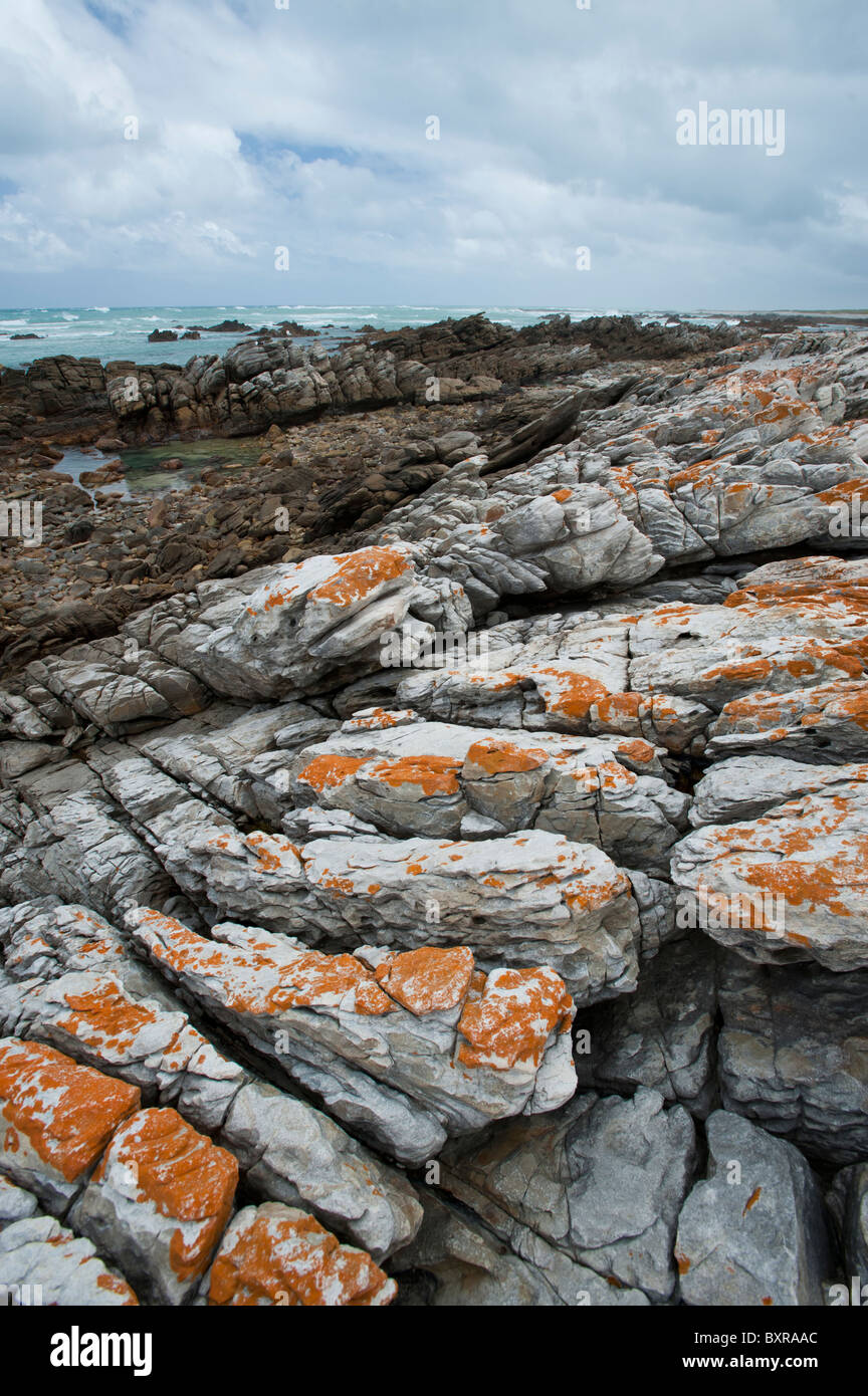 Le littoral accidenté et sombre au Cap des aiguilles le point le plus au sud de l'Afrique. L'Afrique du Sud, d'Overberg Banque D'Images