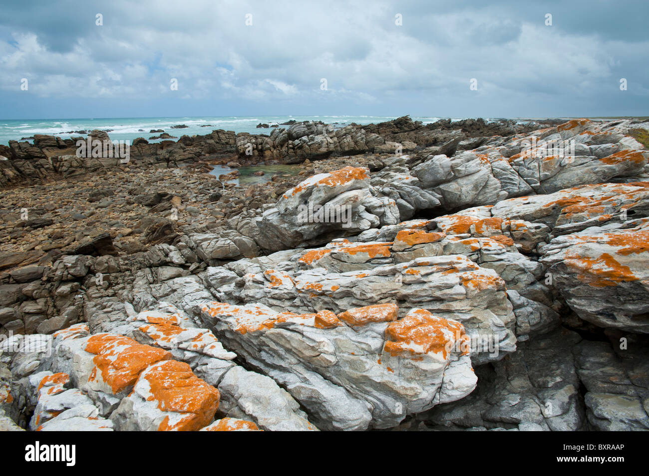 Le littoral accidenté et sombre au Cap des aiguilles le point le plus au sud de l'Afrique. L'Afrique du Sud, d'Overberg Banque D'Images