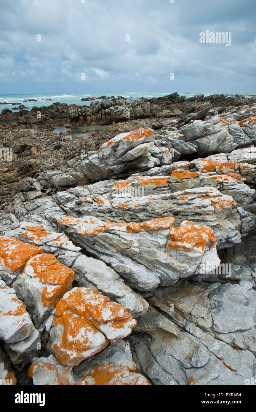 Le littoral accidenté et sombre au Cap des aiguilles le point le plus au sud de l'Afrique. L'Afrique du Sud, d'Overberg Banque D'Images