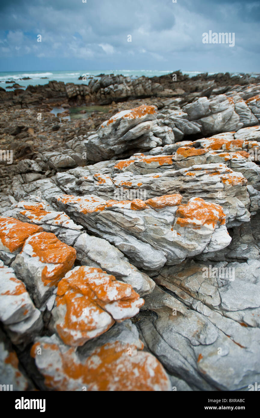 Le littoral accidenté et sombre au Cap des aiguilles le point le plus au sud de l'Afrique. L'Afrique du Sud, d'Overberg Banque D'Images