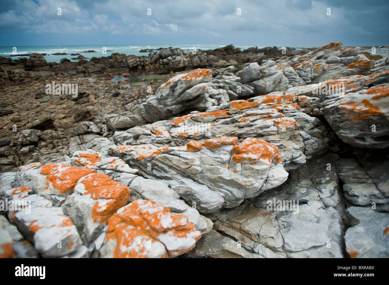 Le littoral accidenté et sombre au Cap des aiguilles le point le plus au sud de l'Afrique. L'Afrique du Sud, d'Overberg Banque D'Images