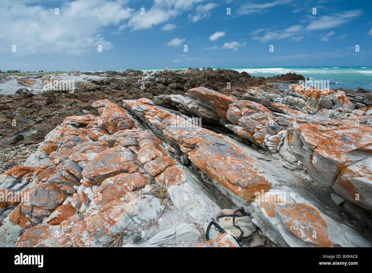 Le littoral accidenté et sombre au Cap des aiguilles le point le plus au sud de l'Afrique. L'Afrique du Sud, d'Overberg Banque D'Images