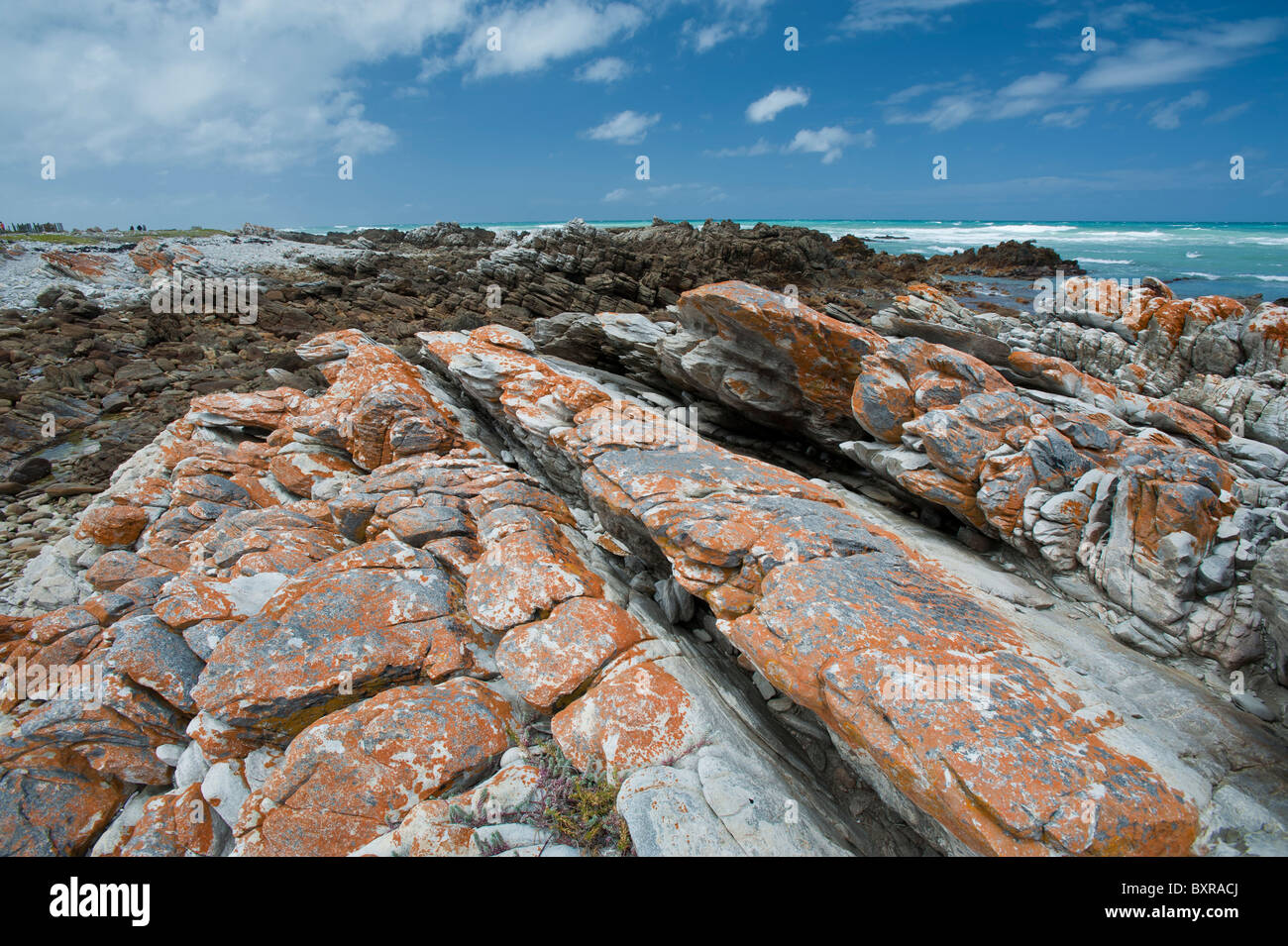 Le littoral accidenté et sombre au Cap des aiguilles le point le plus au sud de l'Afrique. L'Afrique du Sud, d'Overberg Banque D'Images