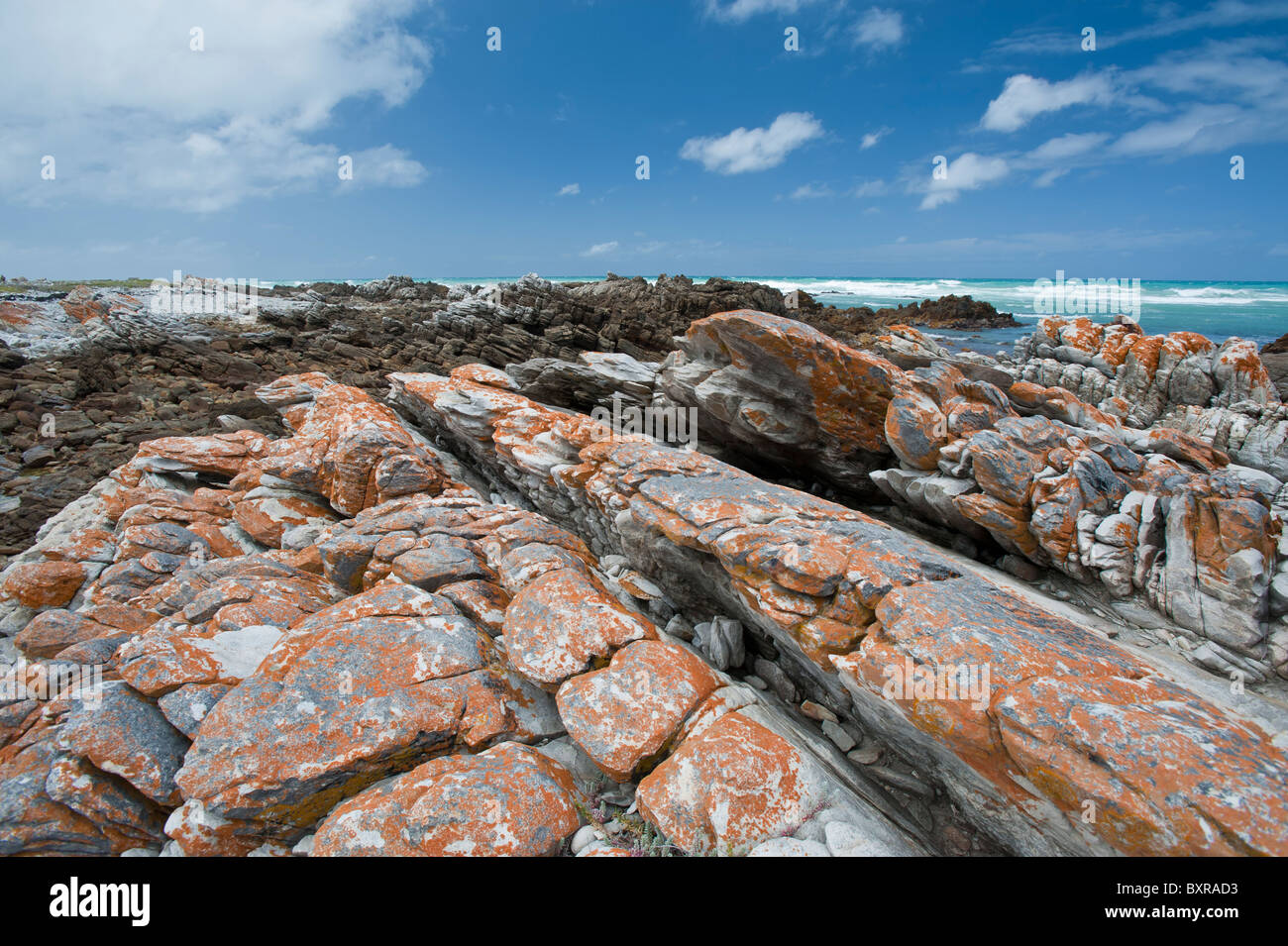 Le littoral accidenté et sombre au Cap des aiguilles le point le plus au sud de l'Afrique. L'Afrique du Sud, d'Overberg Banque D'Images