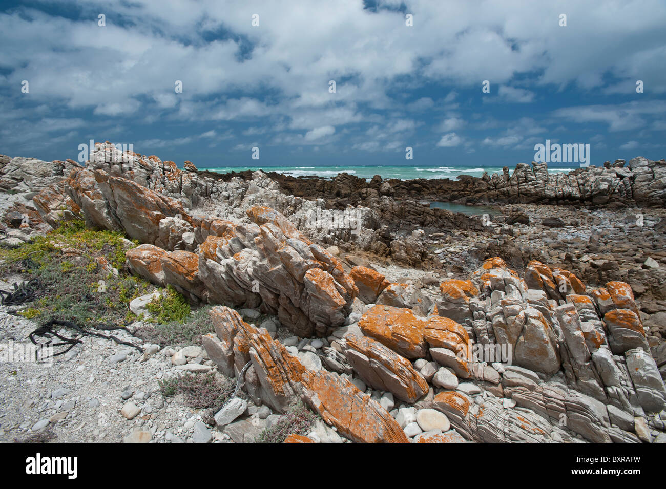 Le littoral accidenté et sombre au Cap des aiguilles le point le plus au sud de l'Afrique. L'Afrique du Sud, d'Overberg Banque D'Images