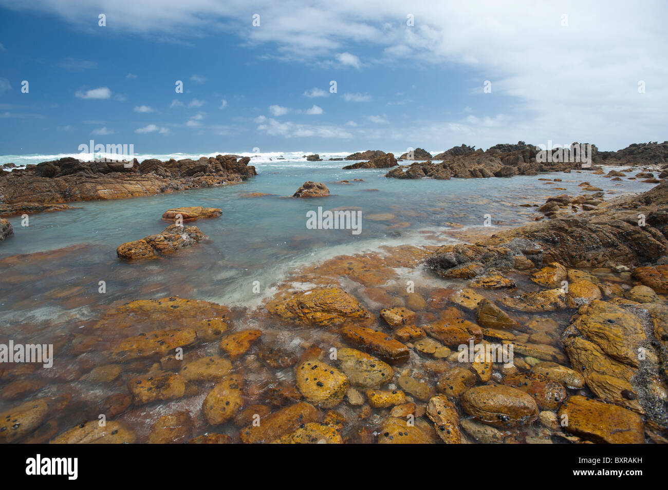 Le littoral accidenté et sombre au Cap des aiguilles le point le plus au sud de l'Afrique. L'Afrique du Sud, d'Overberg Banque D'Images