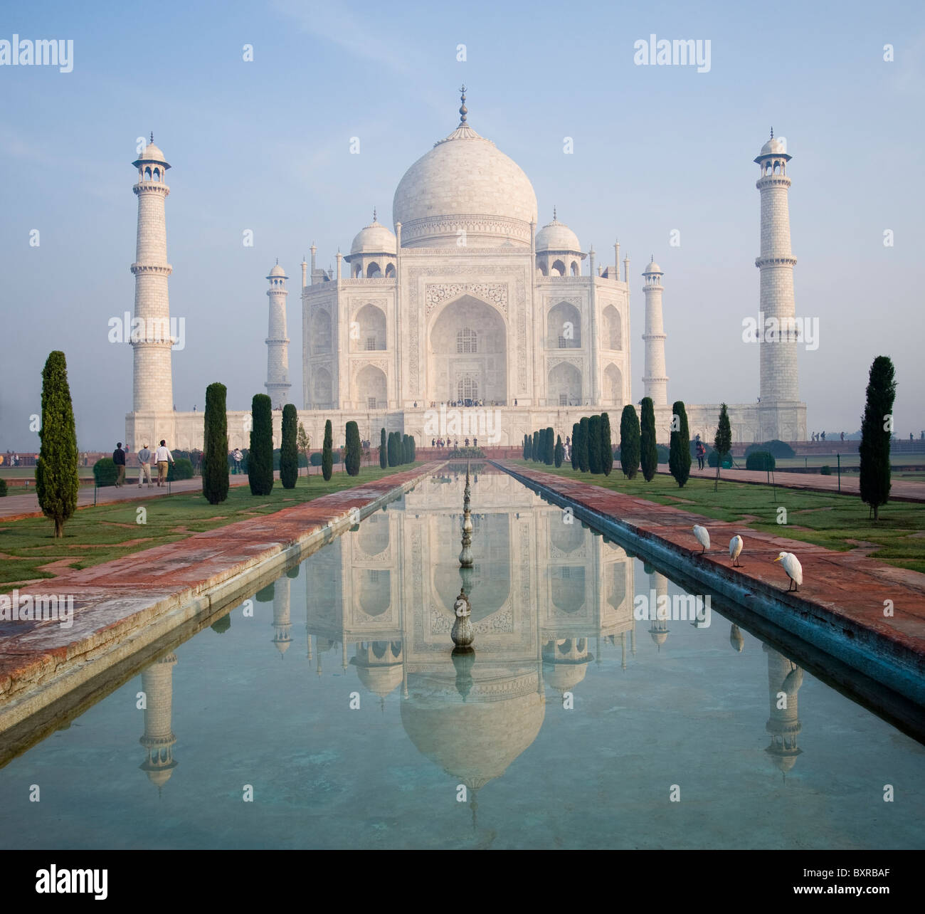 Le Taj Mahal à Agra, Uttar Pradesh, Inde Banque D'Images