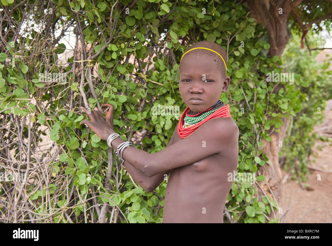 Les Nyangatom (Bumi), fille de la vallée de la rivière Omo, en Ethiopie du sud Banque D'Images