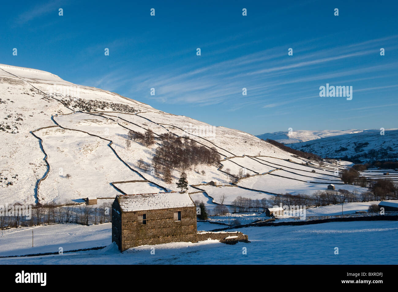 Domaine des granges dans la région de Swaledale près de Mickfield lors d'une froide journée de l'hiver. Banque D'Images