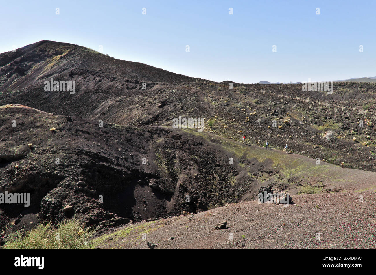 L'intérieur d'El Pinacate, cône de cendres de la Réserve de biosphère El Pinacate, Sonora, Mexique Banque D'Images