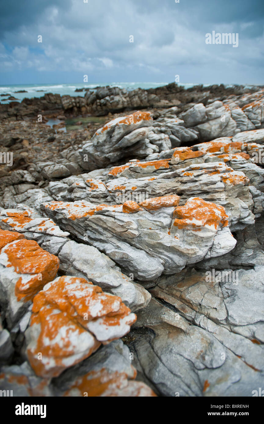 Le littoral accidenté et sombre au Cap des aiguilles le point le plus au sud de l'Afrique. L'Afrique du Sud, d'Overberg Banque D'Images