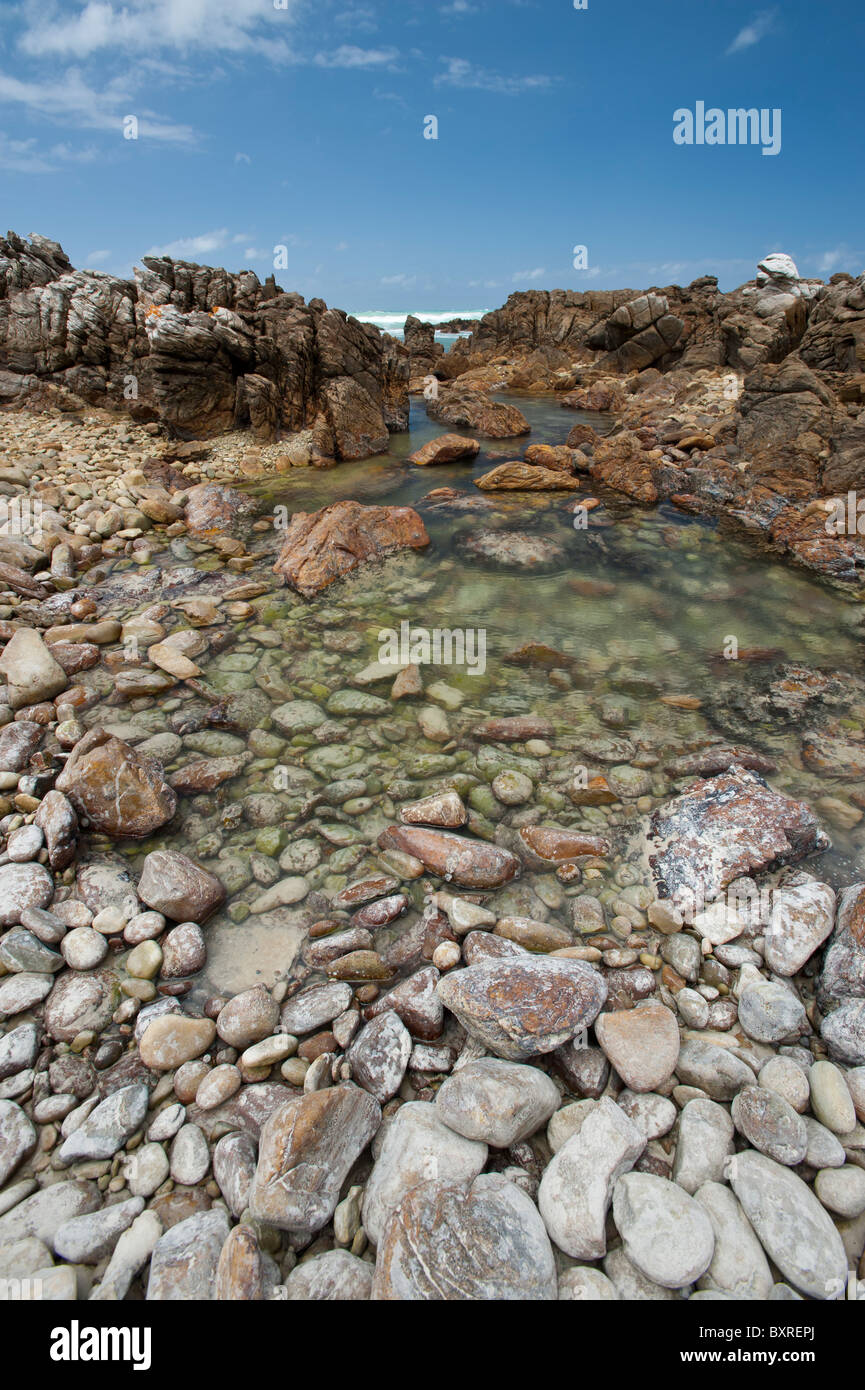 Des rochers et des cailloux le long de la côte, au Cap des aiguilles le point le plus sud de l'Afrique. L'Afrique du Sud, d'Overberg Banque D'Images