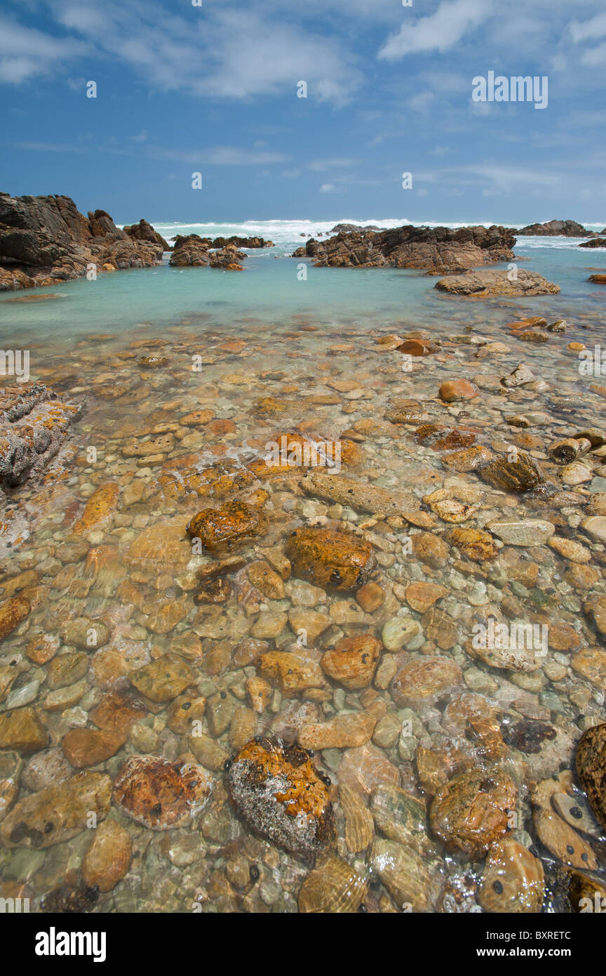 Le littoral accidenté et sombre au Cap des aiguilles le point le plus au sud de l'Afrique. L'Afrique du Sud, d'Overberg Banque D'Images