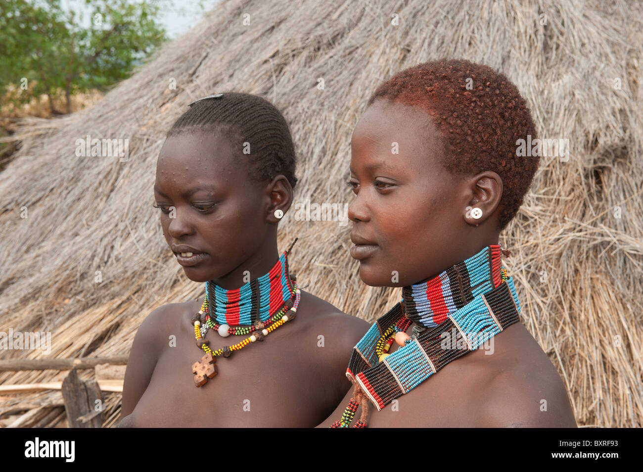 Les jeunes femmes Hamar, vallée de la rivière Omo, dans le sud de l'Éthiopie Afrique Banque D'Images
