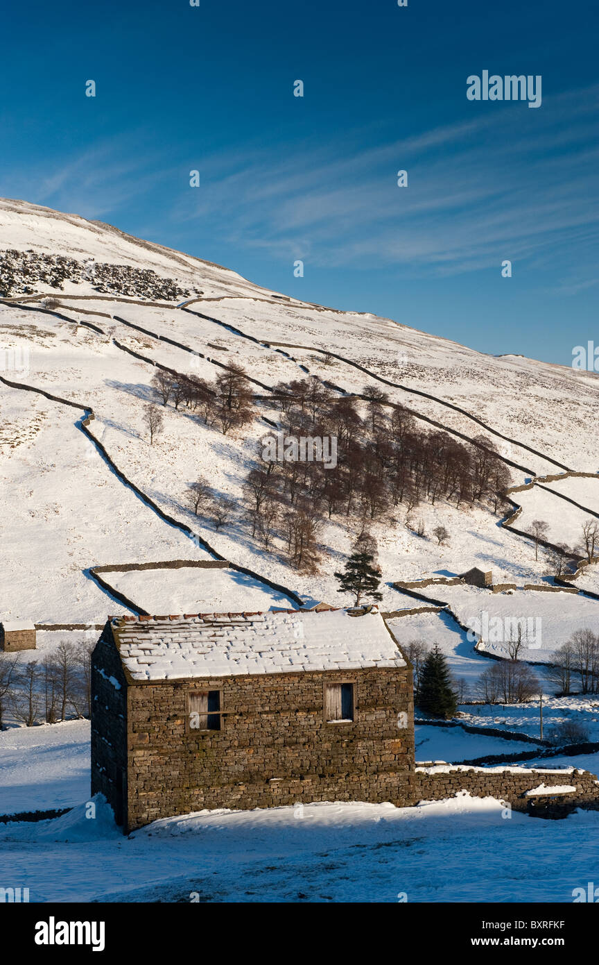 Domaine des granges dans la région de Swaledale près de Mickfield lors d'une froide journée de l'hiver. Banque D'Images