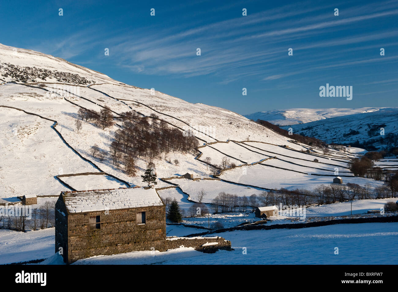 Domaine des granges dans la région de Swaledale près de Mickfield lors d'une froide journée de l'hiver. Banque D'Images
