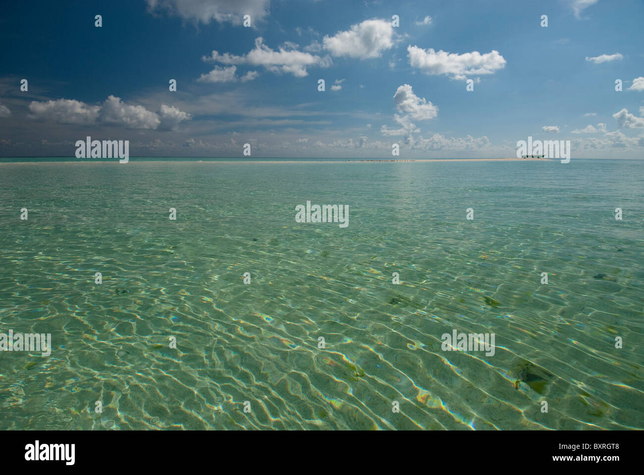 Voile sur banc de Tubbataha, Palawan, Philippines, Banque D'Images