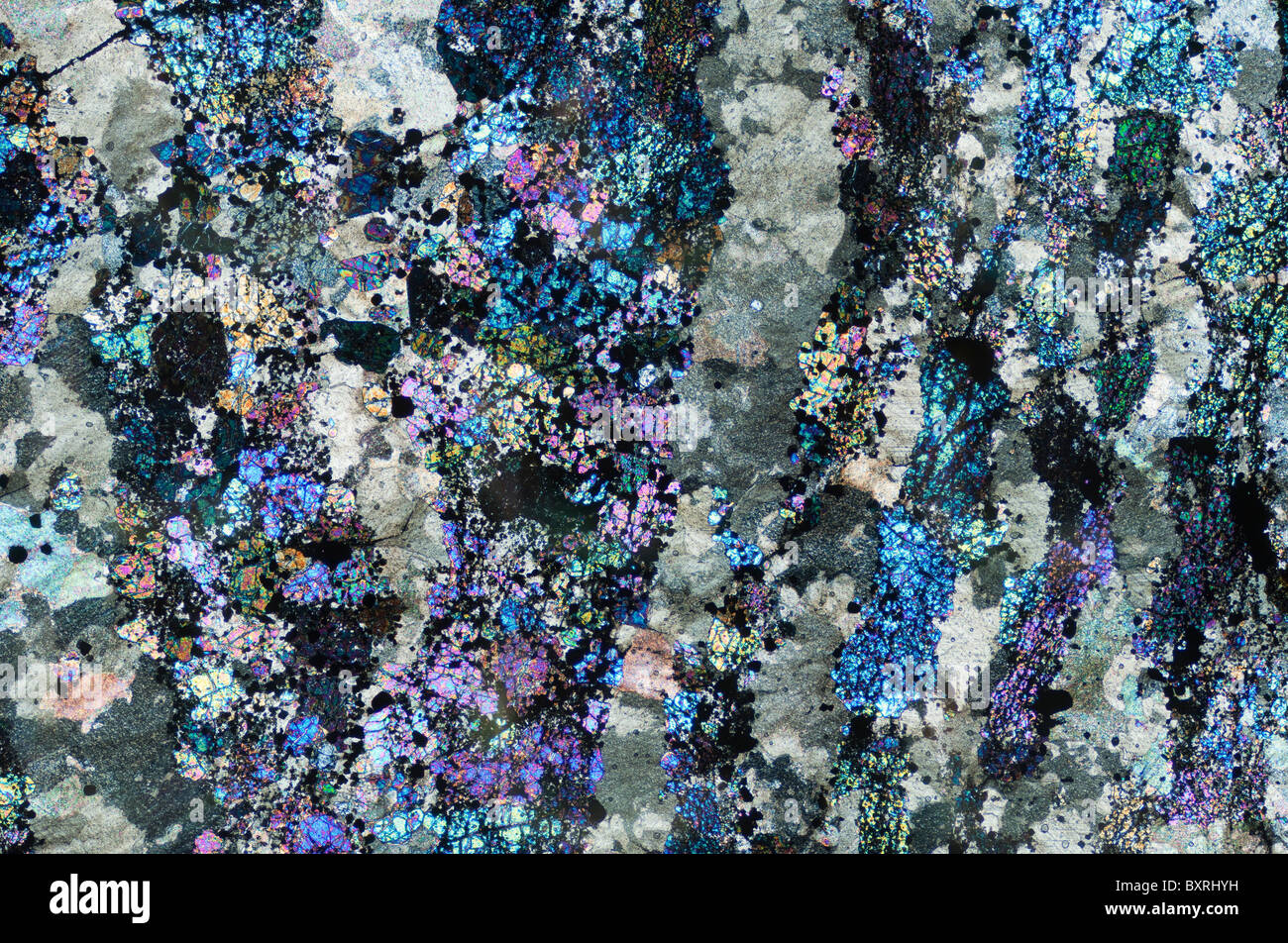 En métasomatique, géologique de microscope à lumière polarisée croisée Banque D'Images