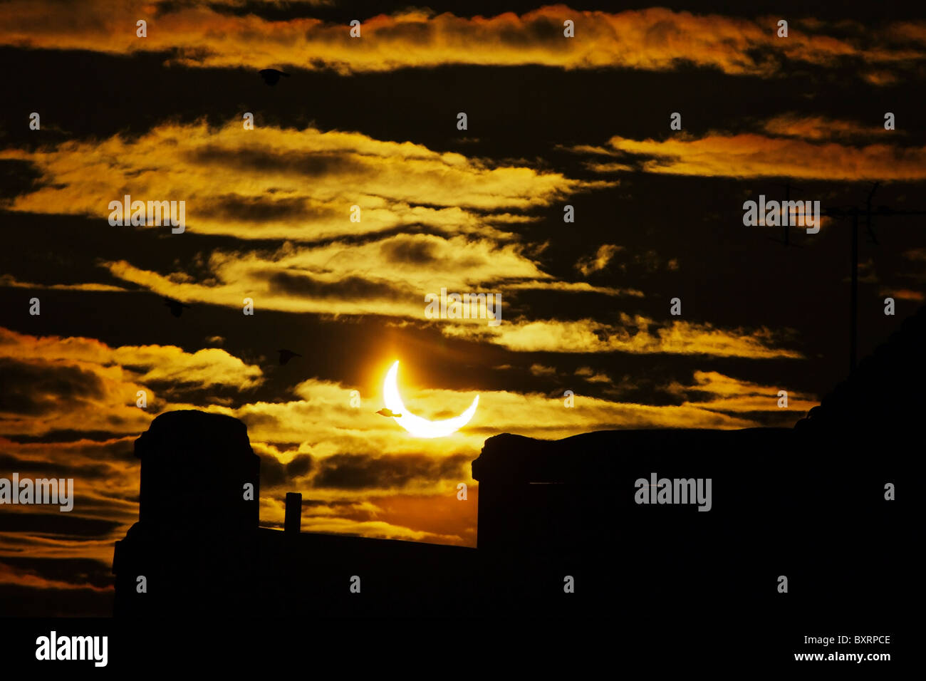 Éclipse solaire partielle au lever du soleil, vu de la Suède. 4 jan 2011. Il y a un oiseau volant dans la partie gauche du soleil. Banque D'Images