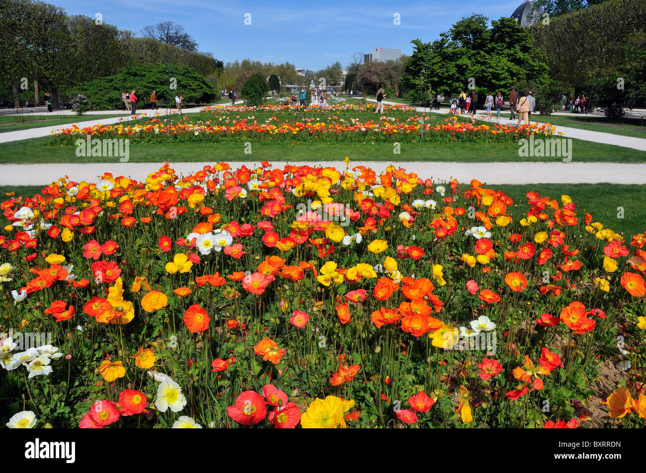 Jardin des Plantes Jardin des plantes, Paris, Île-de-France, France, Europe Banque D'Images