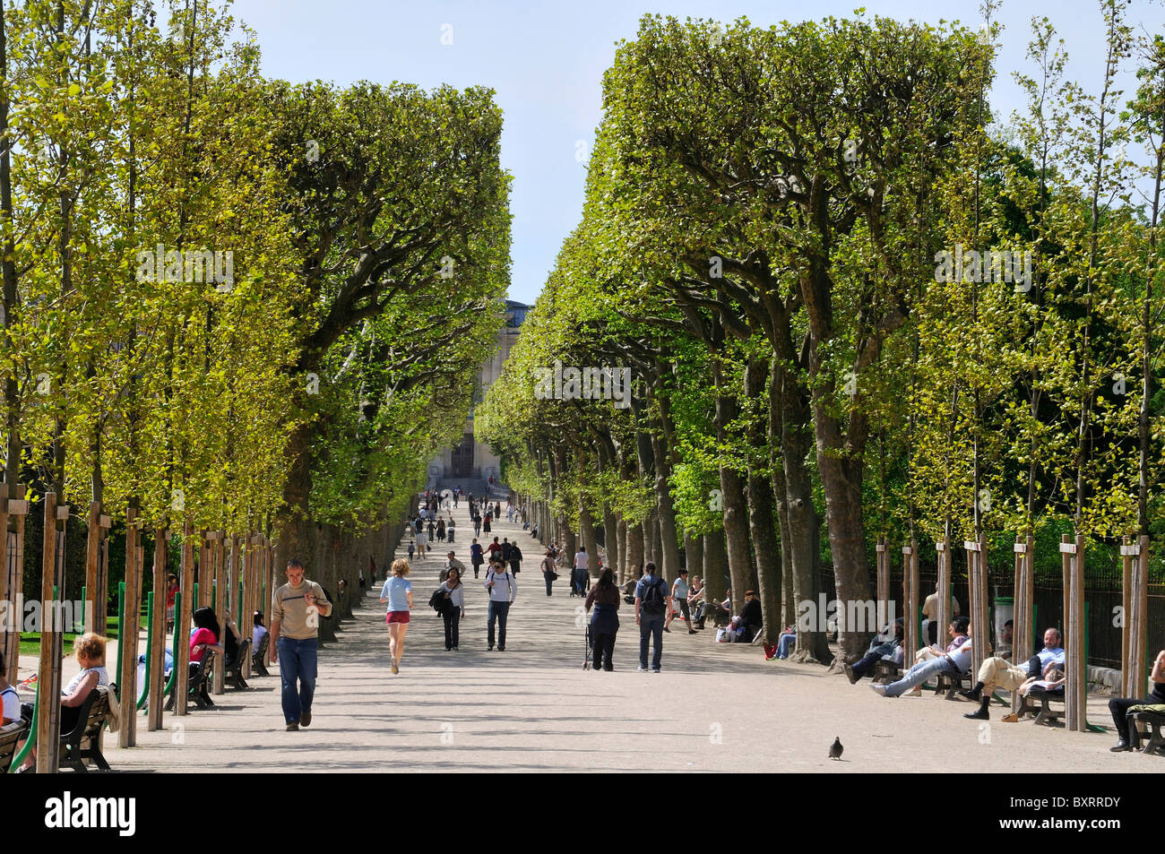 Jardin des Plantes Jardin des plantes, Paris, Île-de-France, France, Europe Banque D'Images