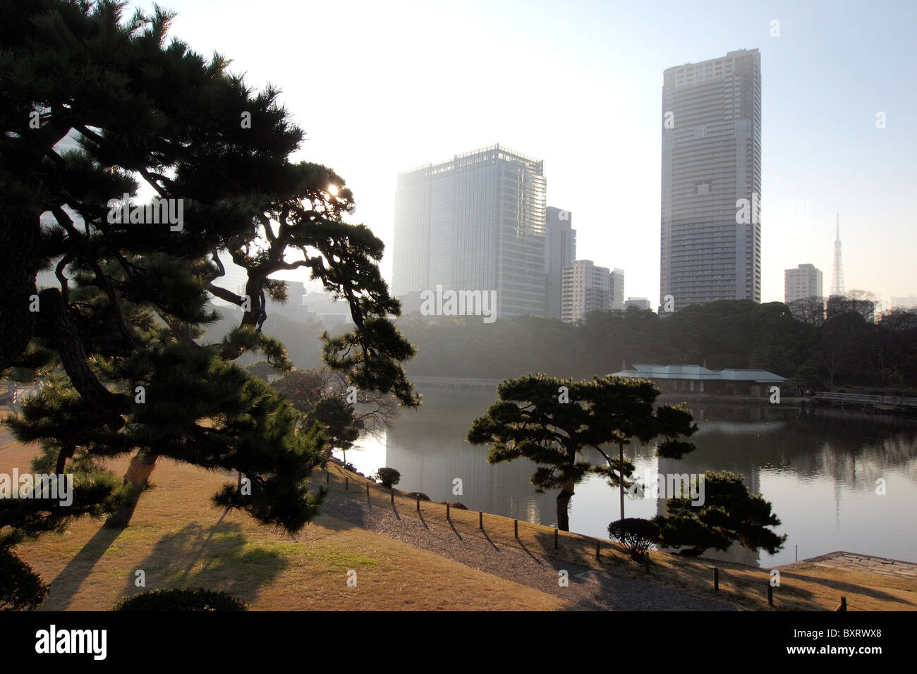 Cityscape horizon gratte-ciel de Tokyo Japon Banque D'Images