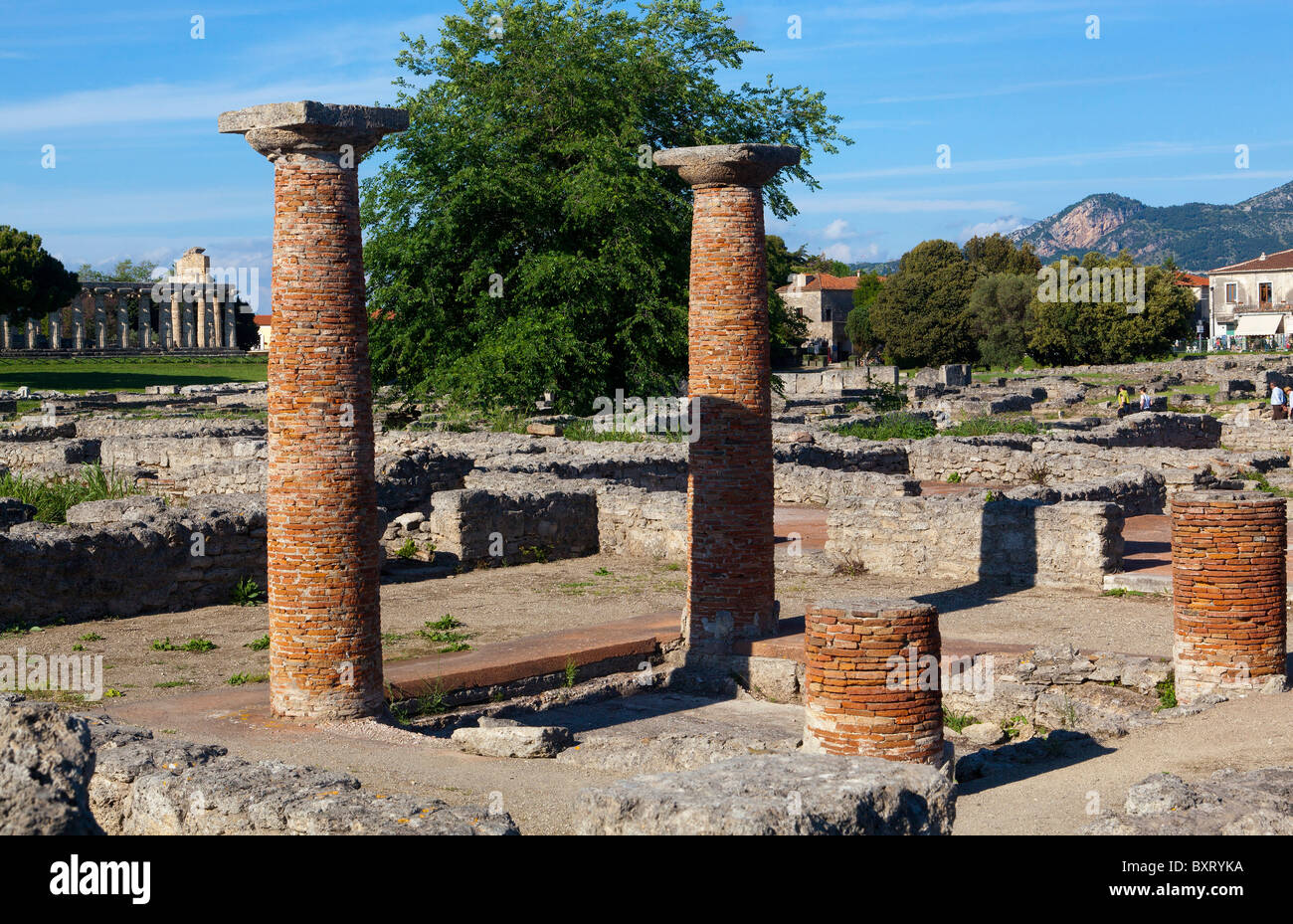 Colonne dorique, sur l'arrière-plan Temple d'Athéna, la zone archéologique de Paestum, Campanie, Italie Banque D'Images