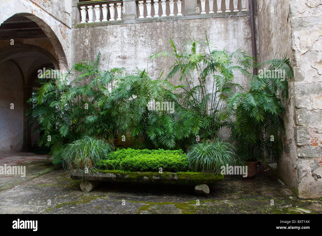 Cour, Villa del Vescovo, Villa Marlia, Lucques, Toscane, Italie Banque D'Images