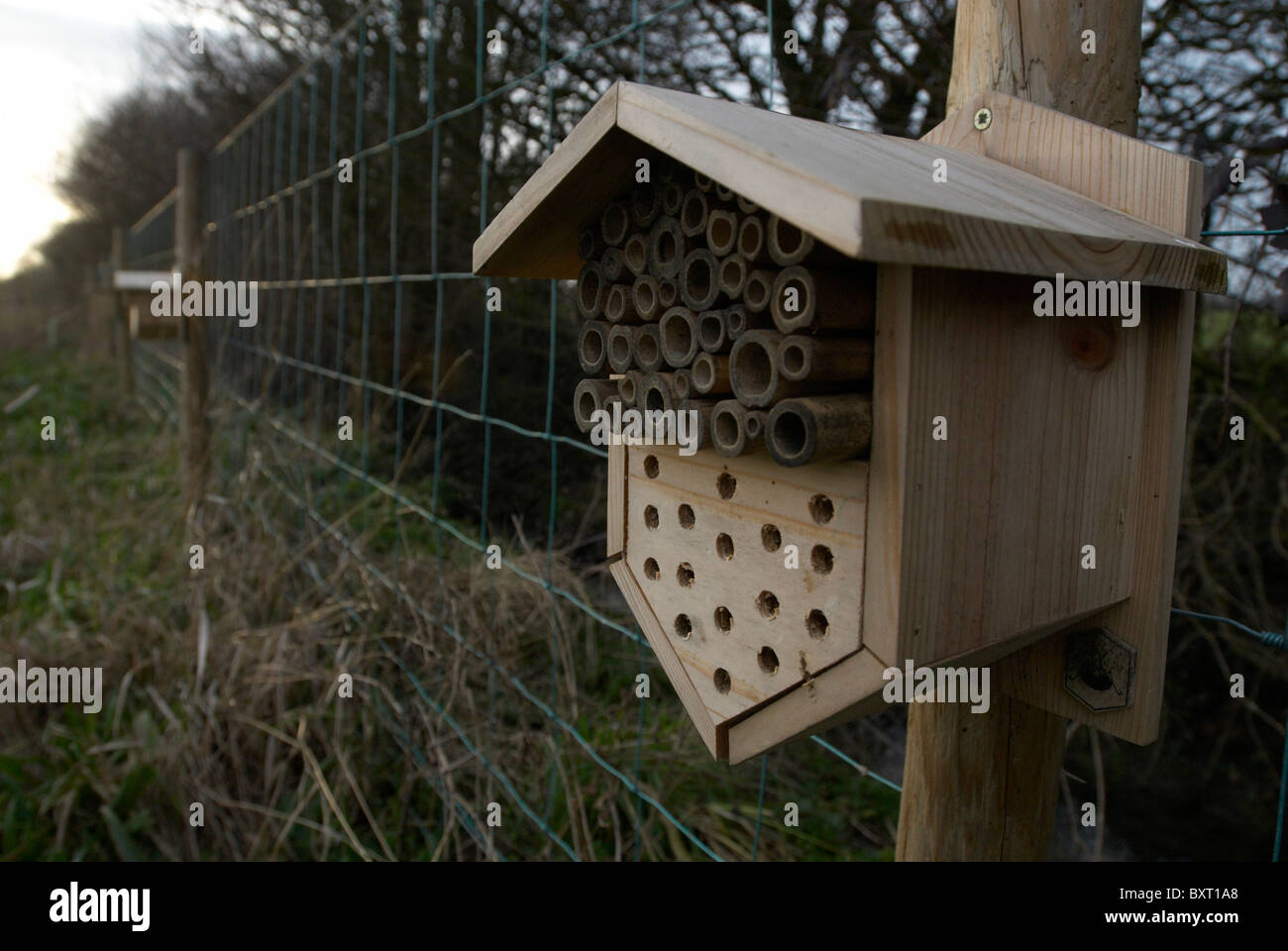 La conservation de la faune fort close up Banque D'Images