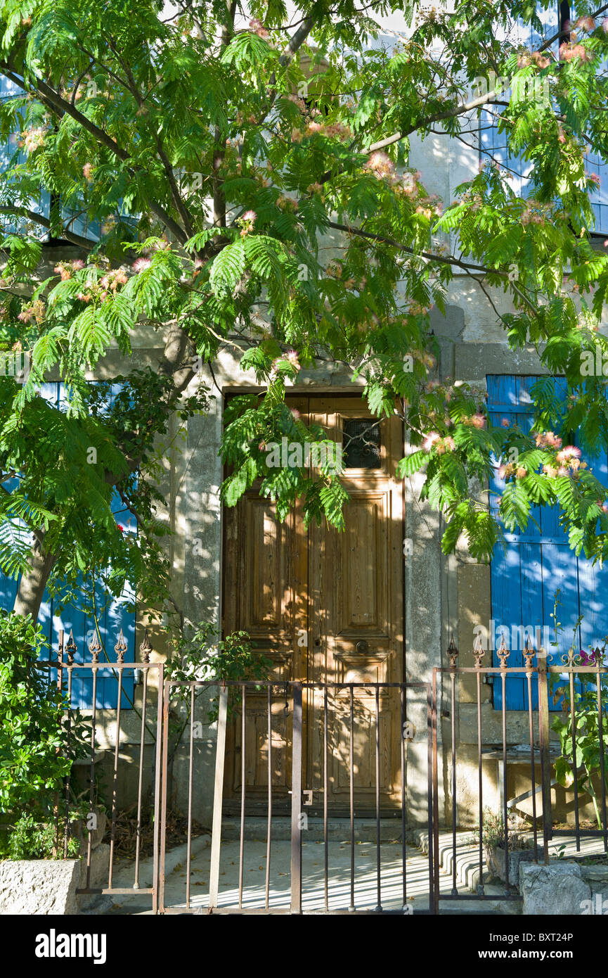 L'ombrage des arbres Acacia la porte et fenêtres à volets d'une vieille maison de village en France Fleury Banque D'Images