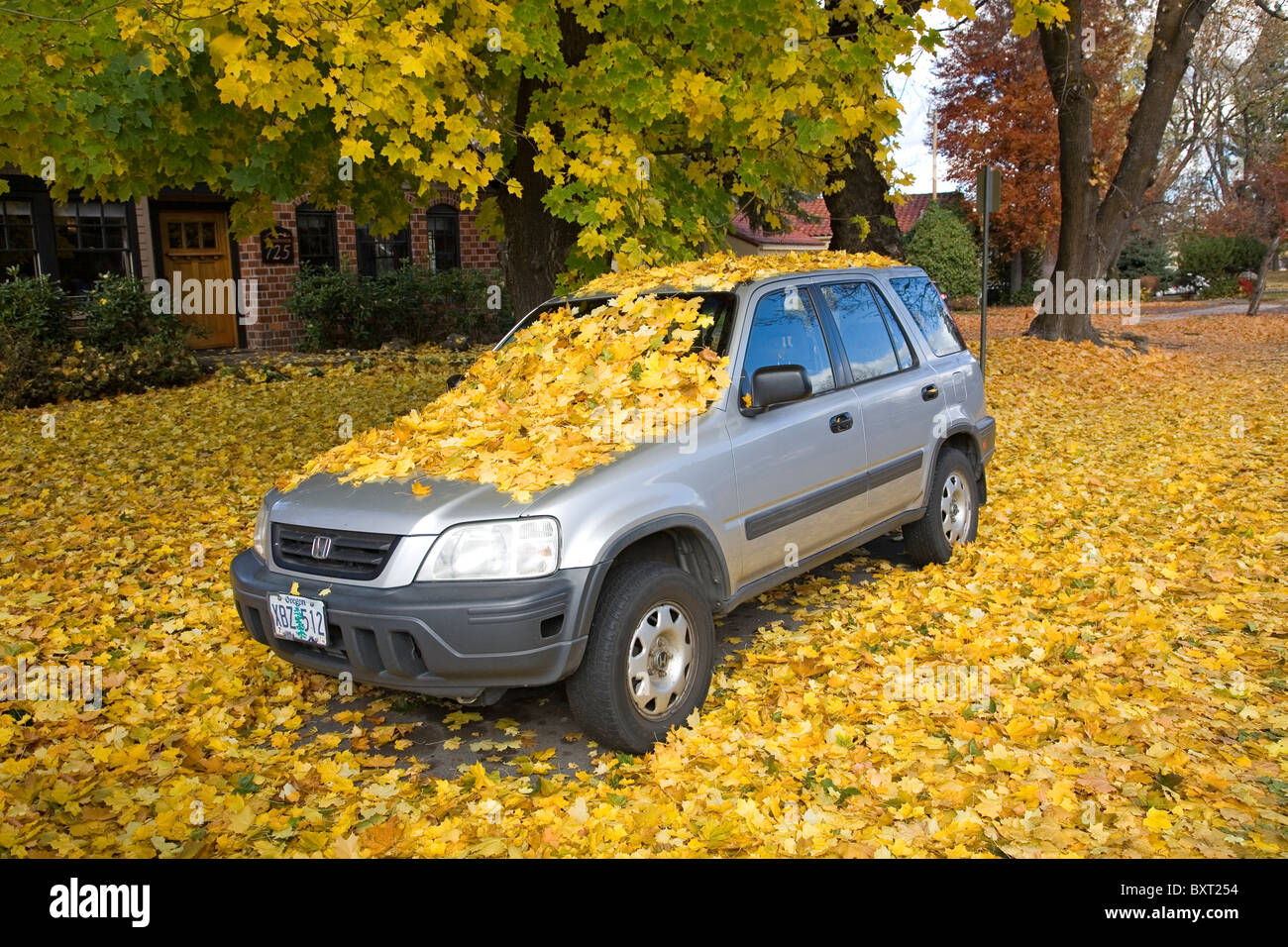 Une voiture couverte de feuilles d'érable tombés au cours d'un changement de couleur d'automne en Octobre Banque D'Images