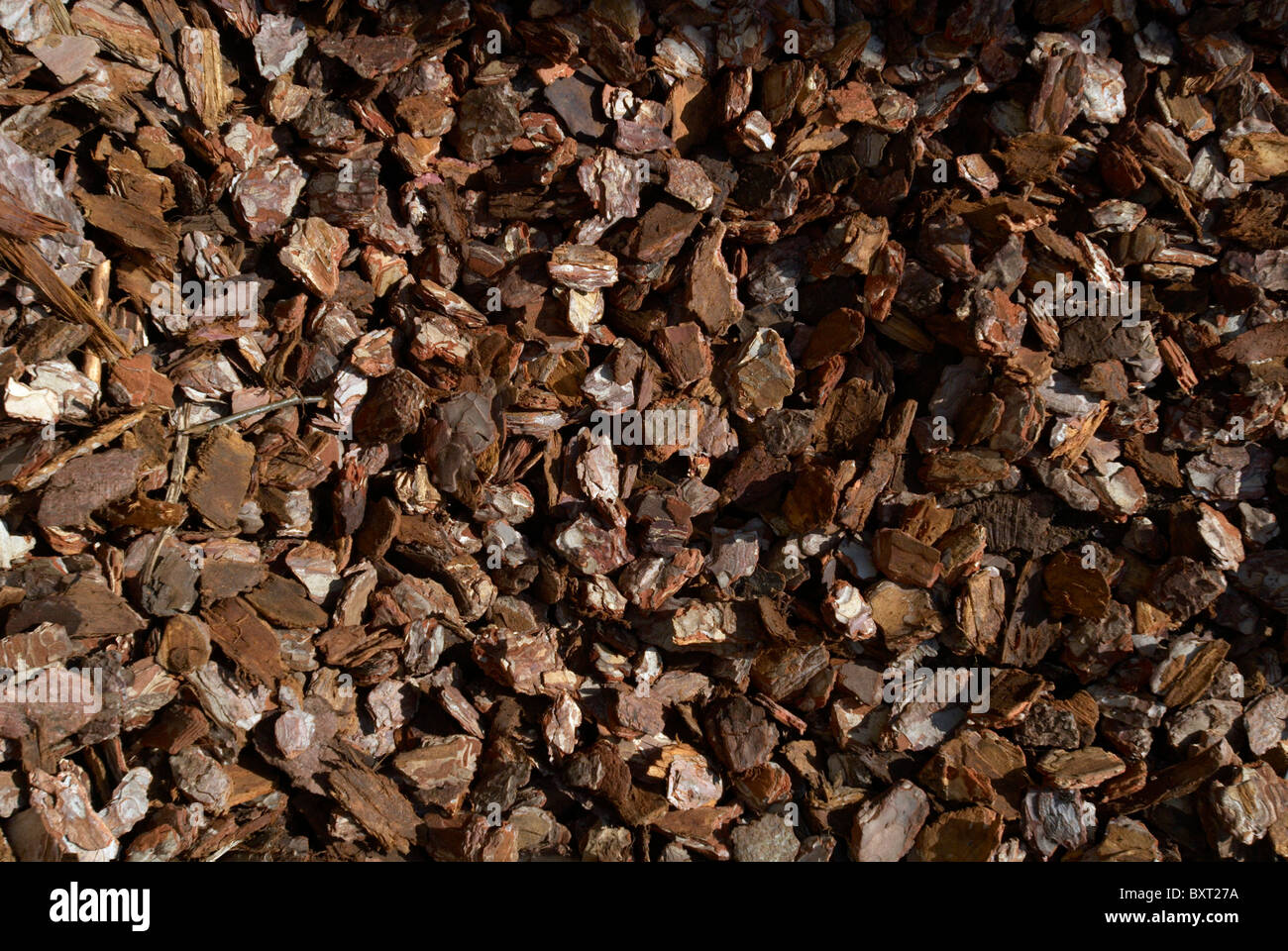 Copeaux de bois Banque D'Images