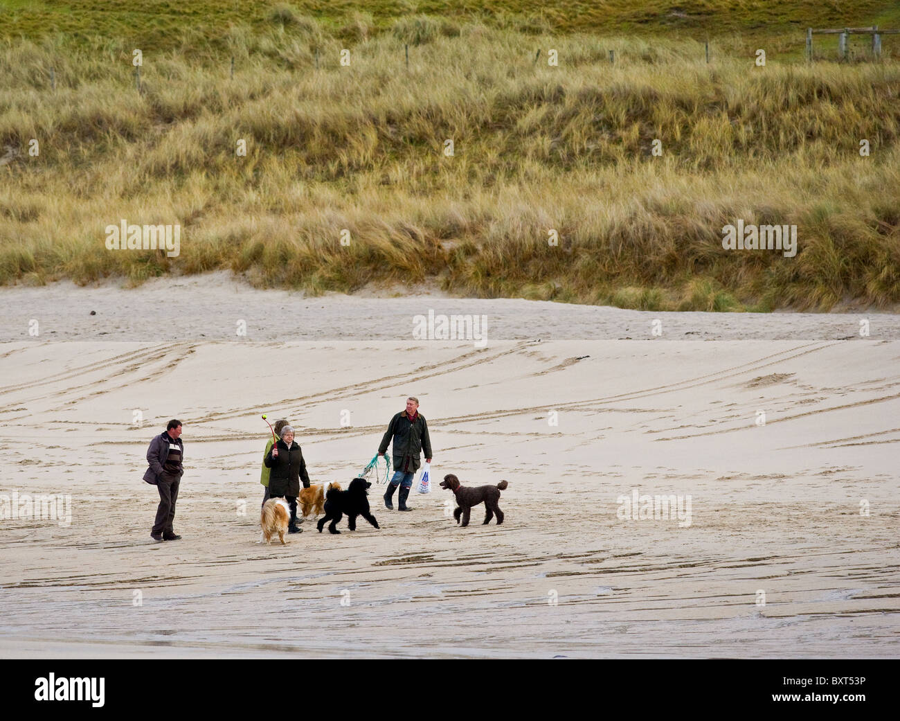 Les promeneurs de chiens sur la plage de Sennen à Cornwall. Photographie par Gordon 1928 Banque D'Images