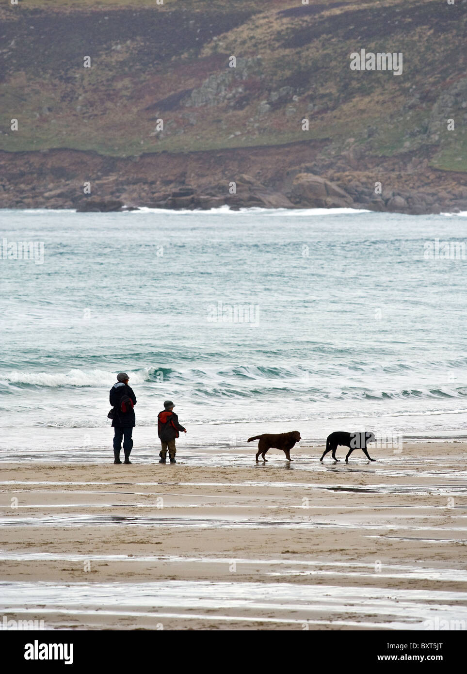Des chiens a marché sur la plage de Sennen à Cornwall. Banque D'Images