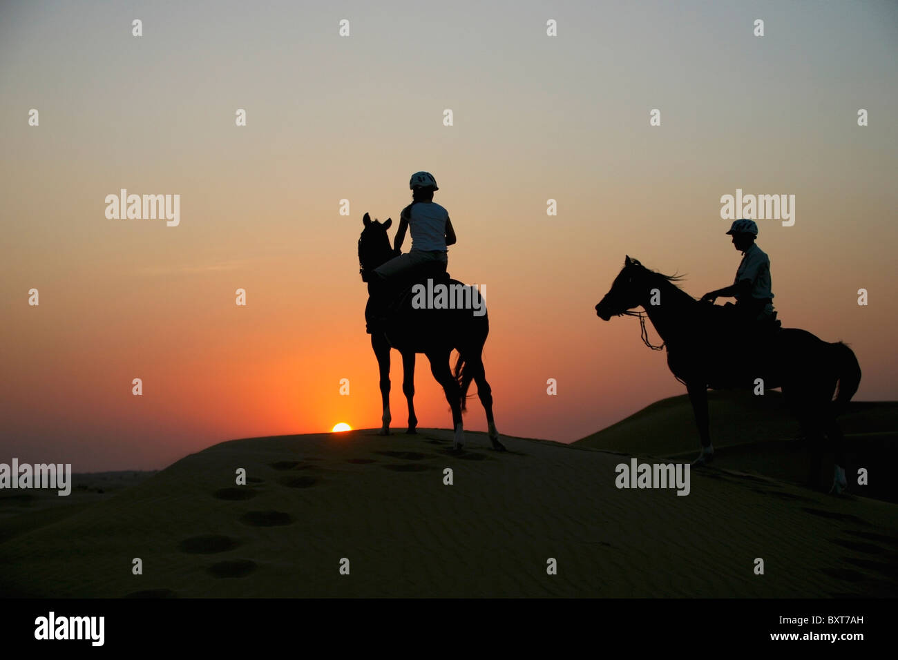 Équitation à Emirats Arabes Unis. Banque D'Images