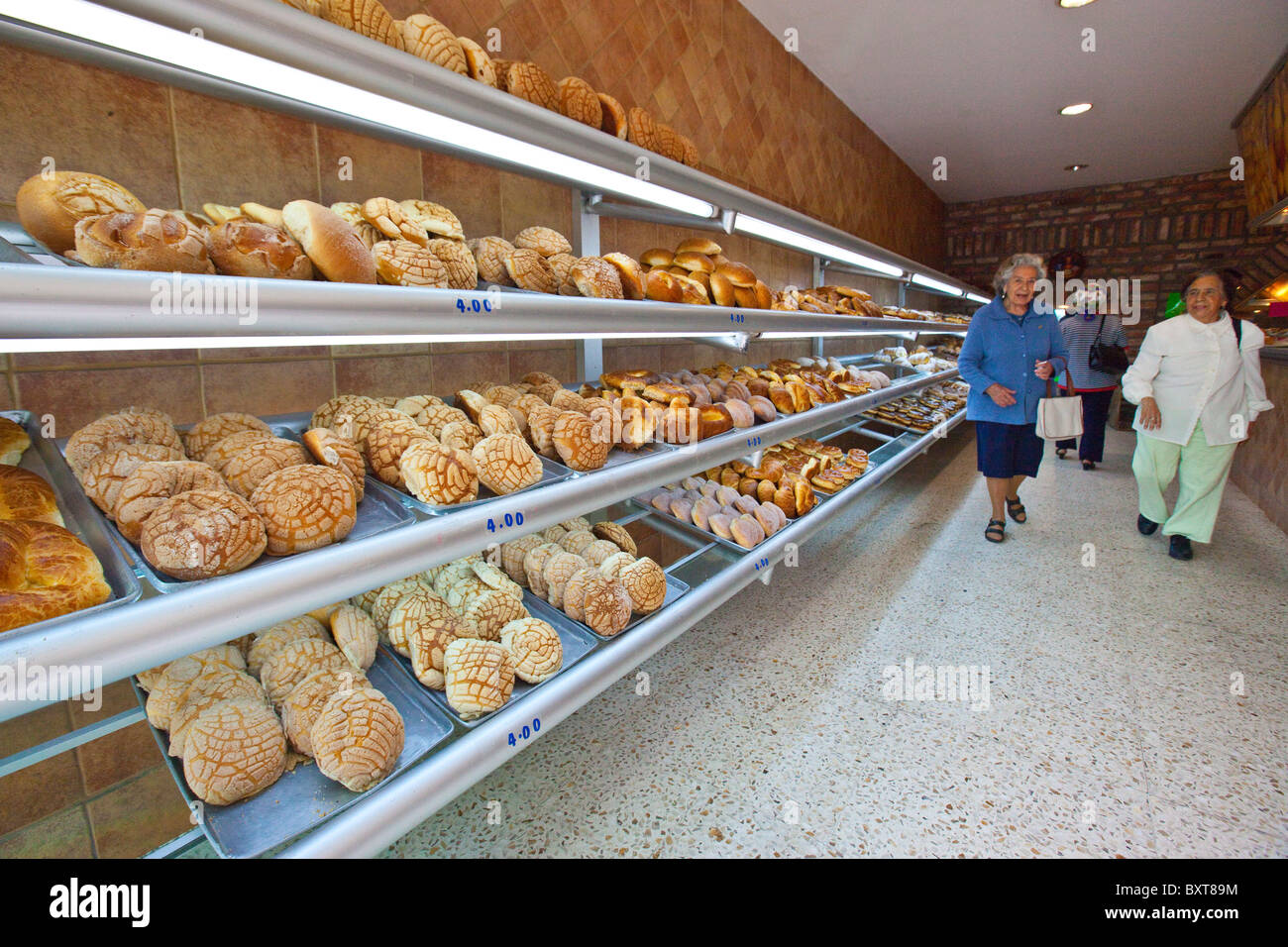 Conchas ou du pain dans une boulangerie à Coyoacan, Mexico City, Mexico Banque D'Images