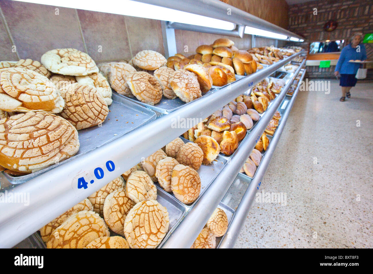 Conchas ou du pain dans une boulangerie à Coyoacan, Mexico City, Mexico Banque D'Images