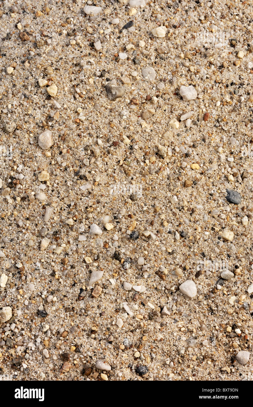 Détail de la texture du sable avec de petites pierres - contexte Banque D'Images