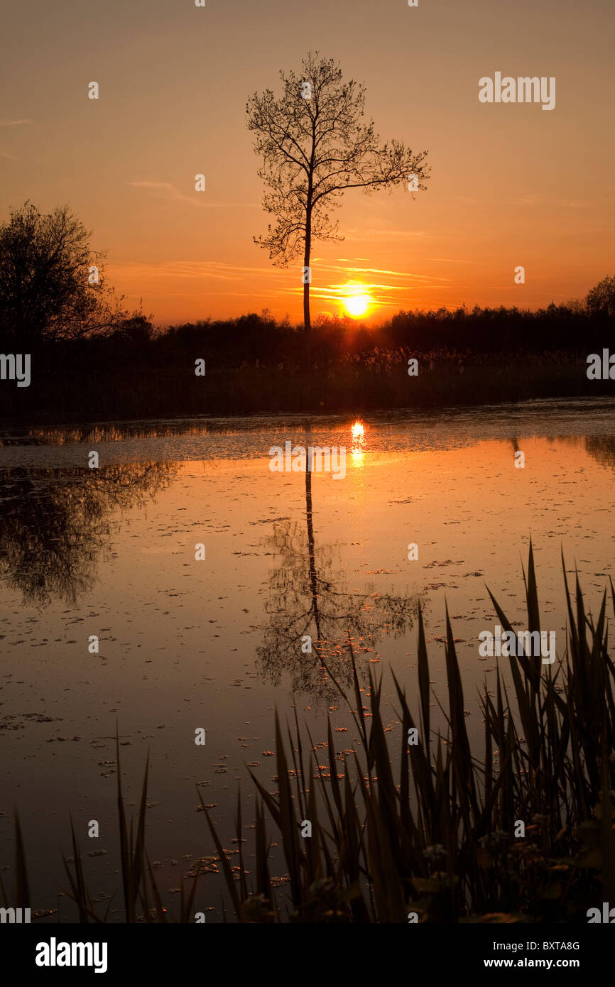 Coucher de soleil sur un lac Banque D'Images