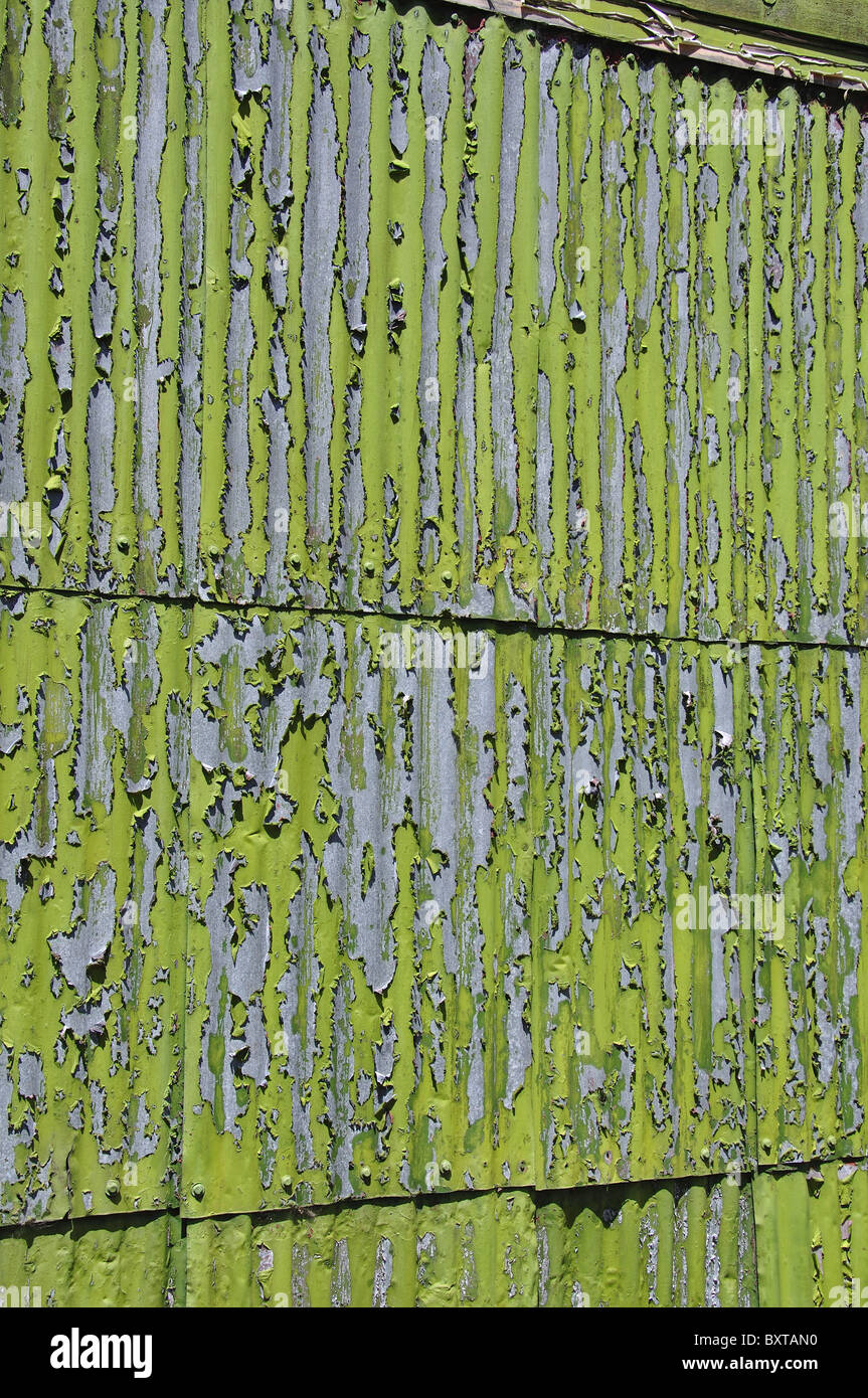 Pelage de peinture sur étai, Little River, péninsule Banks, région de Canterbury, Île du Sud, nouvelle-Zélande Banque D'Images