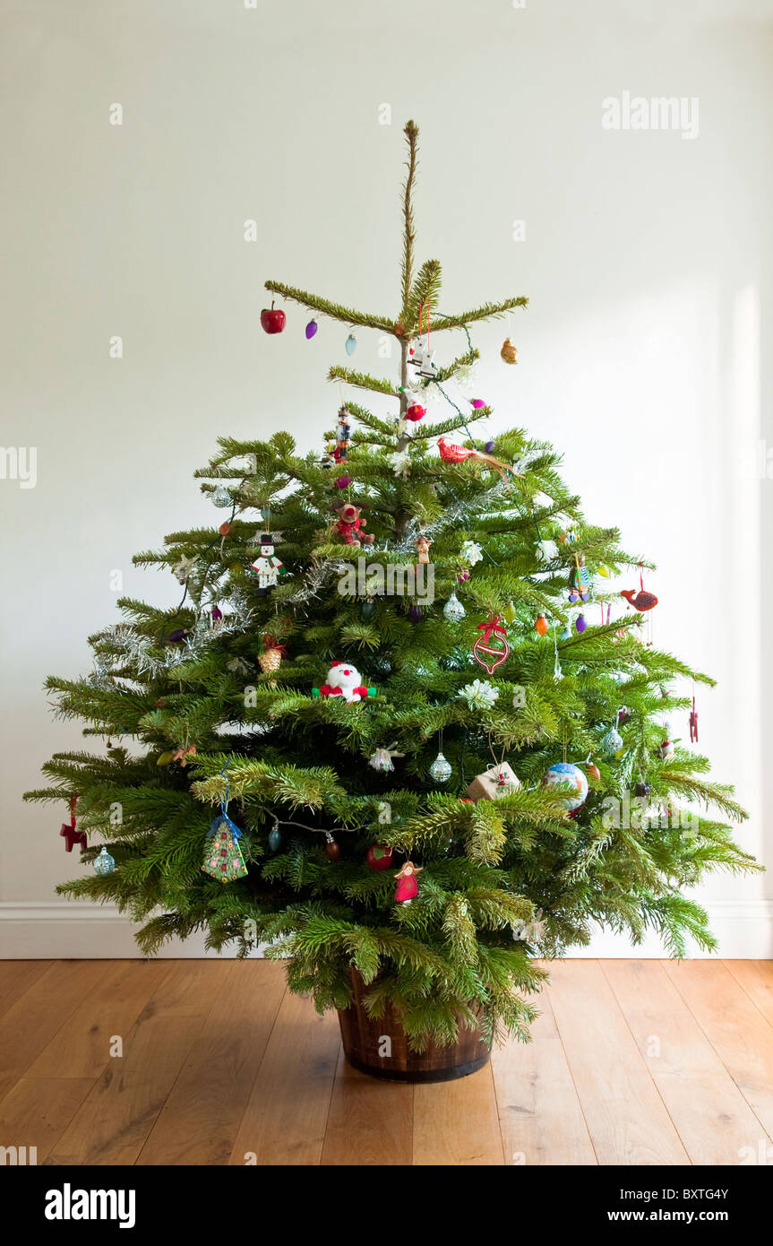 Un ensemble de "vrai", l'arbre de Noël décoré sur un plancher en bois, avec un fond neutre. UK Banque D'Images