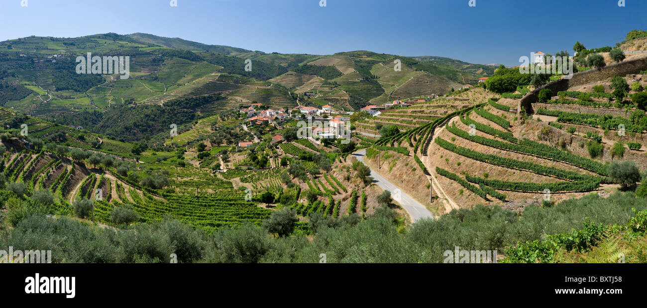 Le Portugal, l'Alto Douro, Vallée du Douro, de Sao Cristovao do Douro dans le district de vin du port Banque D'Images
