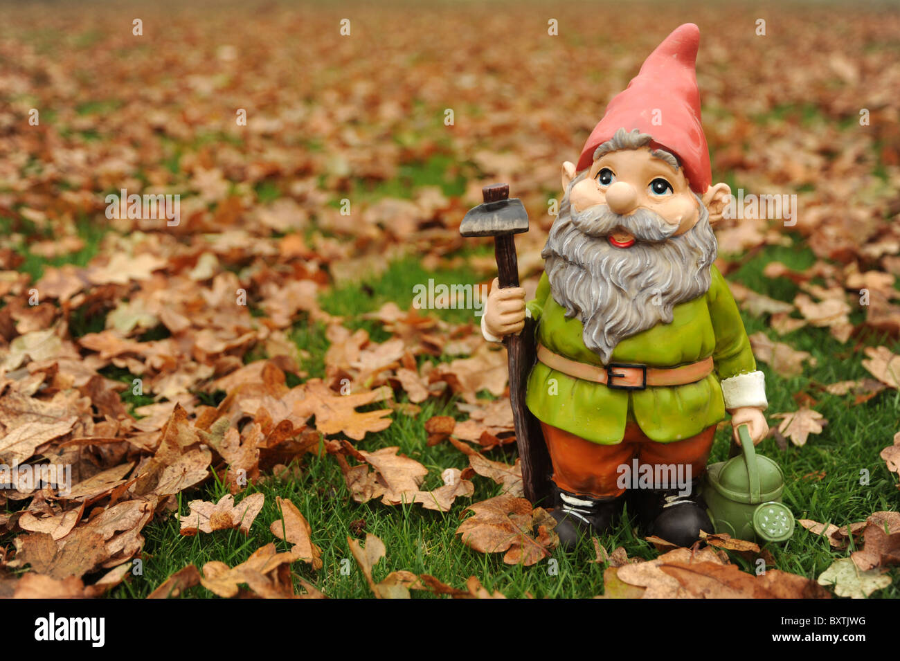 Gnome dans jardin et les feuilles d'automne Banque D'Images