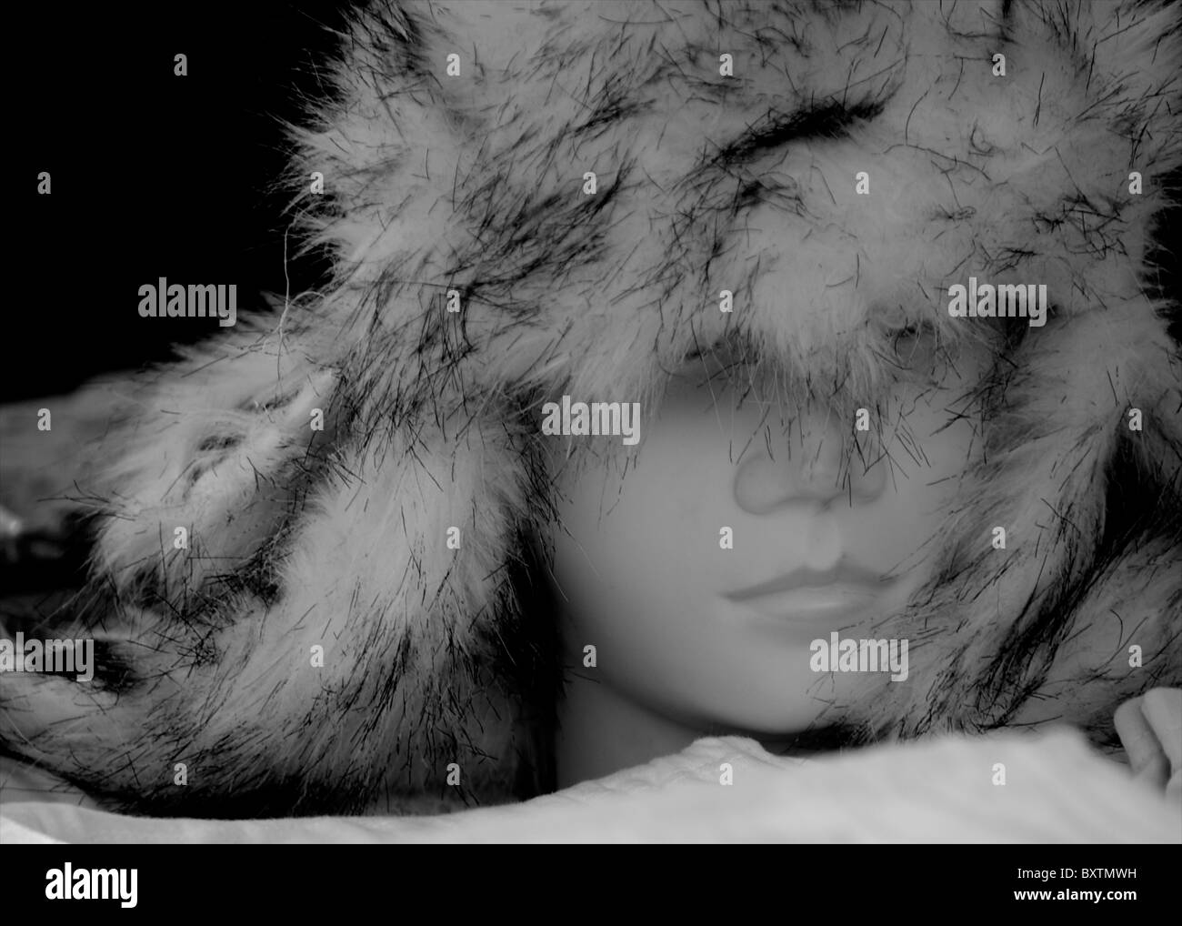 Coussin Flocon Réversible En Fausse Fourrure Pour Animaux - Noir - L