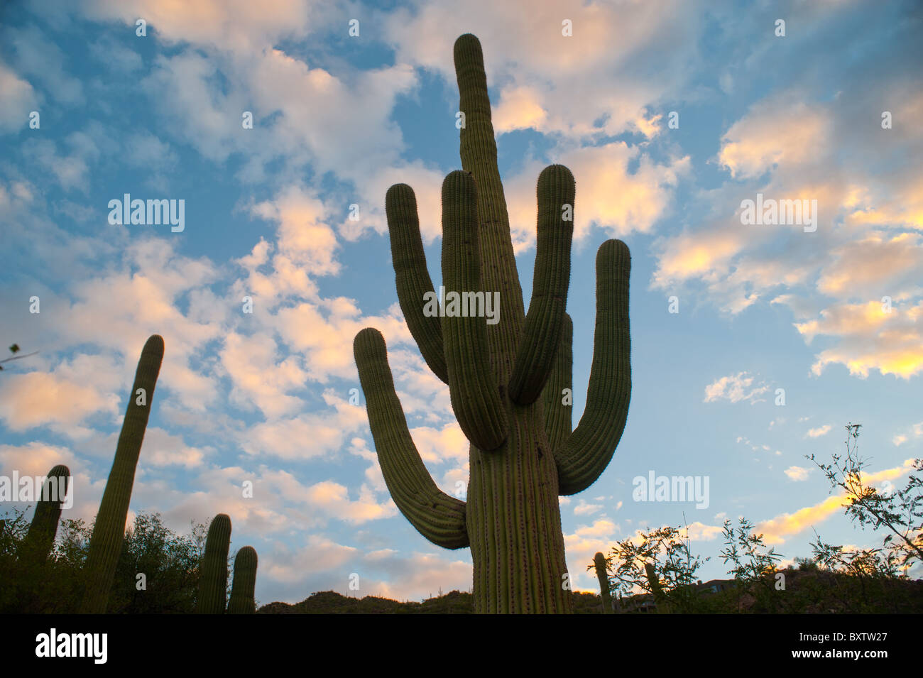 Ventana Canyon , Tucson Arizona Banque D'Images