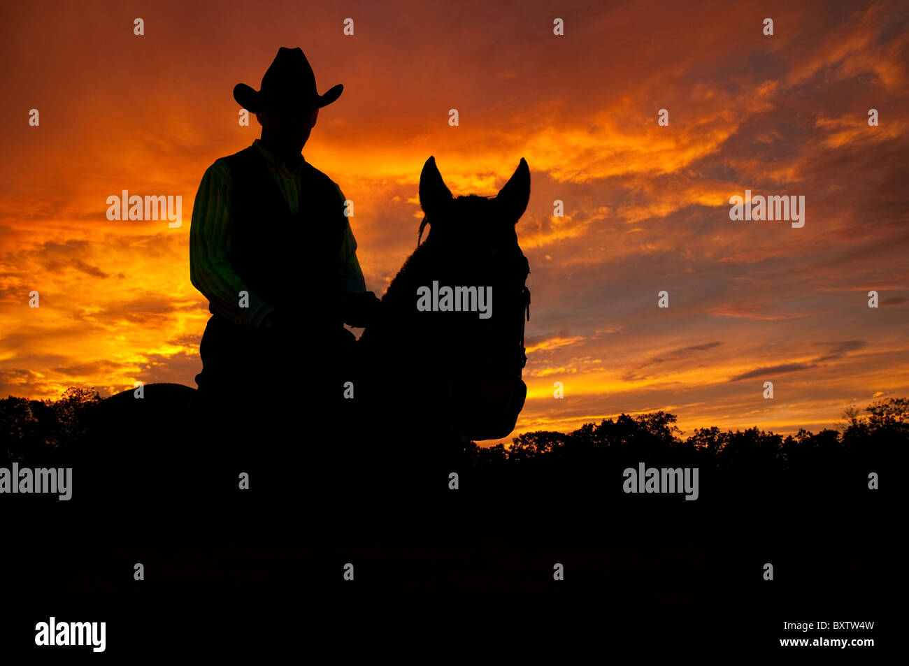Silhouette d'un cheval et un cavalier dans un cowboy hat contre tard le soir les nuages de tempête Banque D'Images