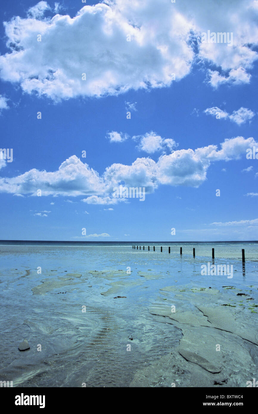 Tirella mention Beach et dune zone de conservation, la baie de Dundrum. Banque D'Images