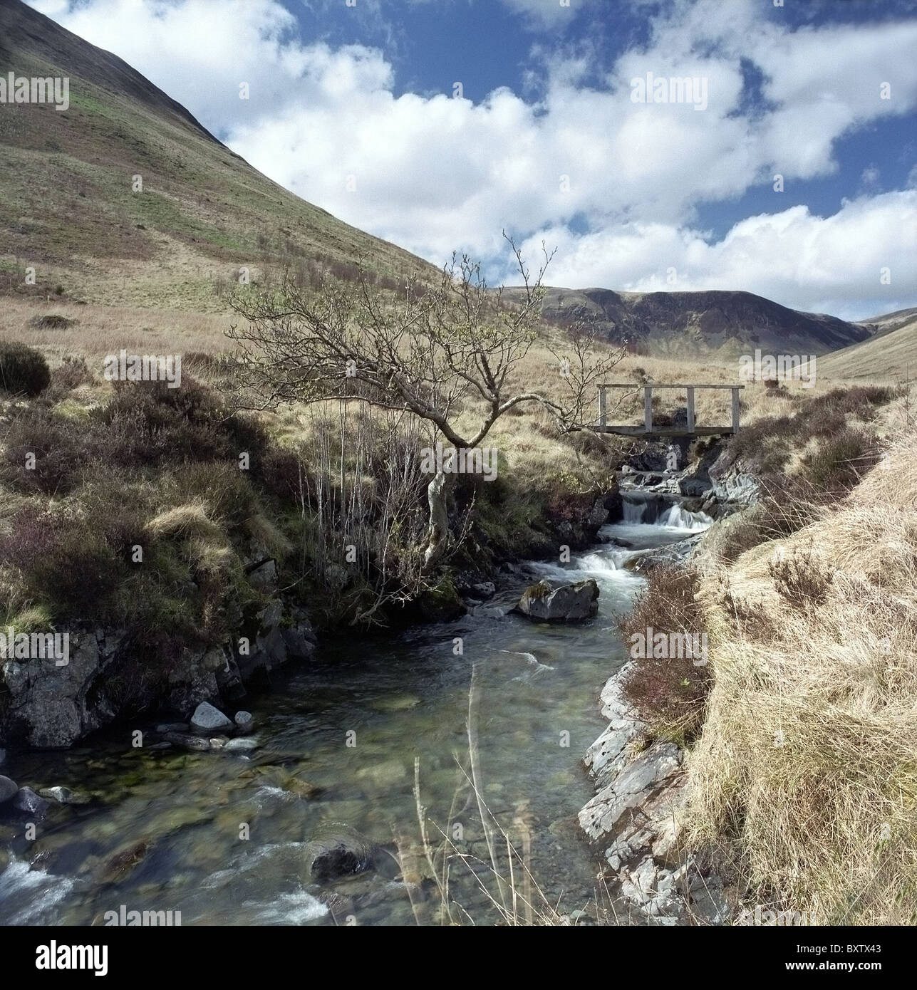 Glen Carrifran Carrifran et brûler, Scottish Southern Uplands, Dumfries et Galloway, Écosse, Royaume-Uni Banque D'Images